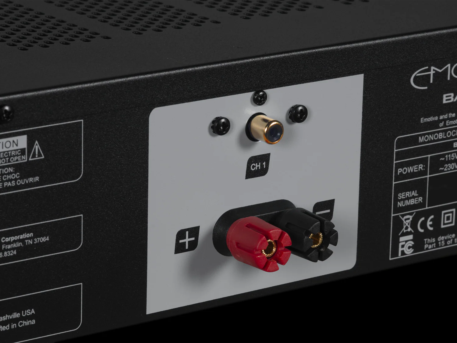 BasX A1 Monoblock Power Amplifier - Image 6
