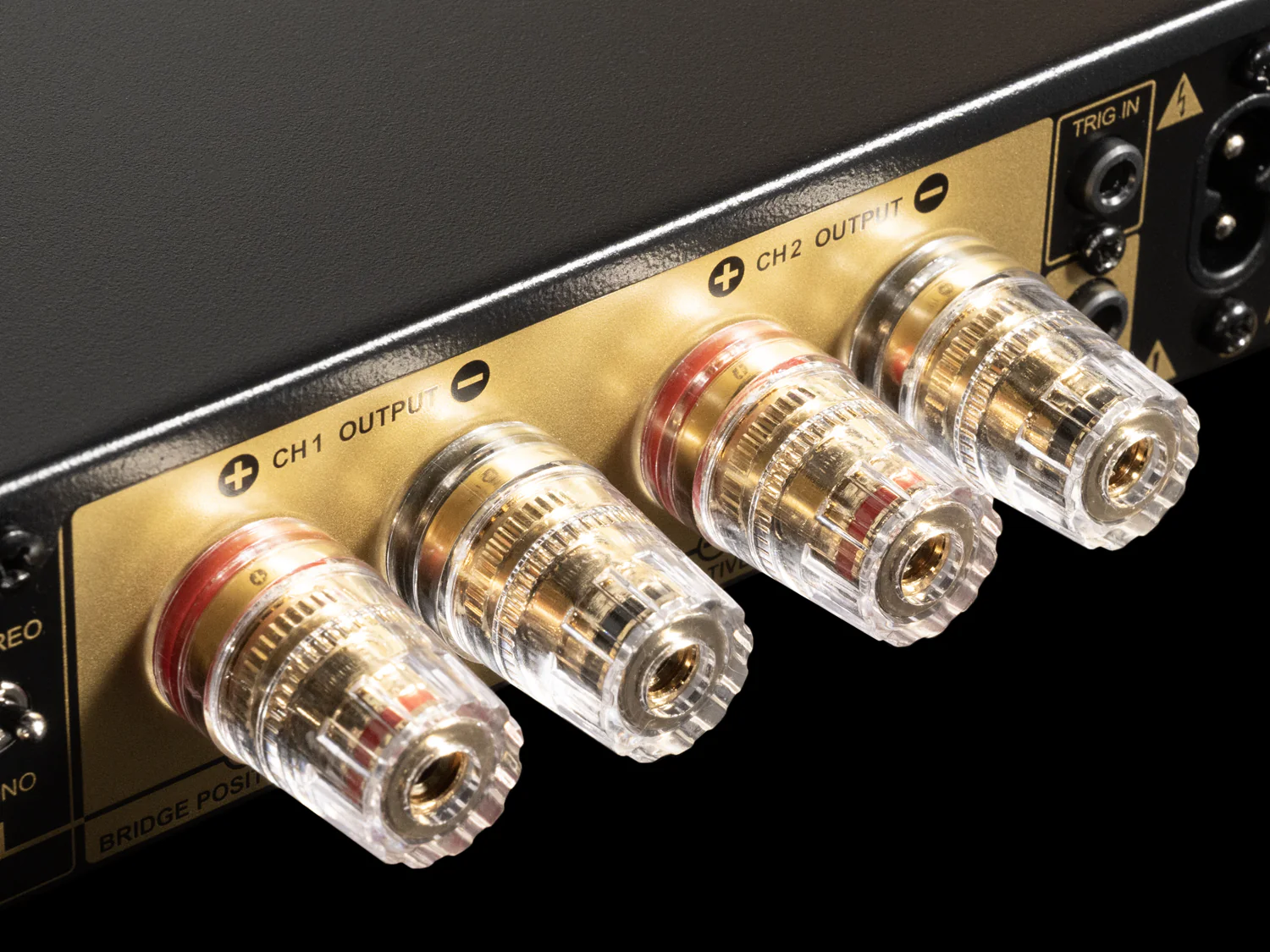DRA-1 Differential Reference® Stereo Amplifier - Image 6